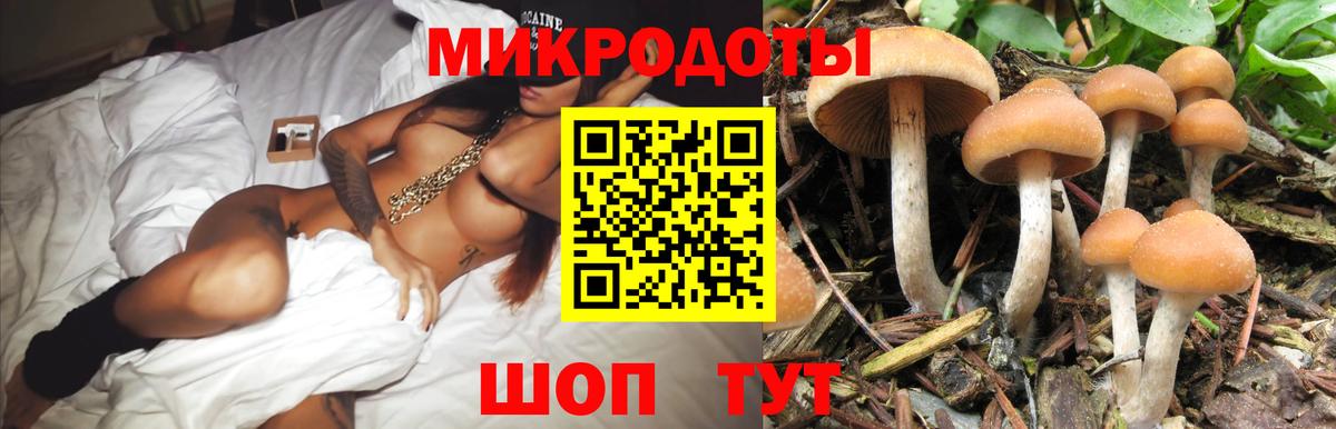 Псилоцибиновые грибы Magic Shrooms  Вход с VPN  Надым 